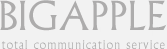 BIGAPPLE total communication service